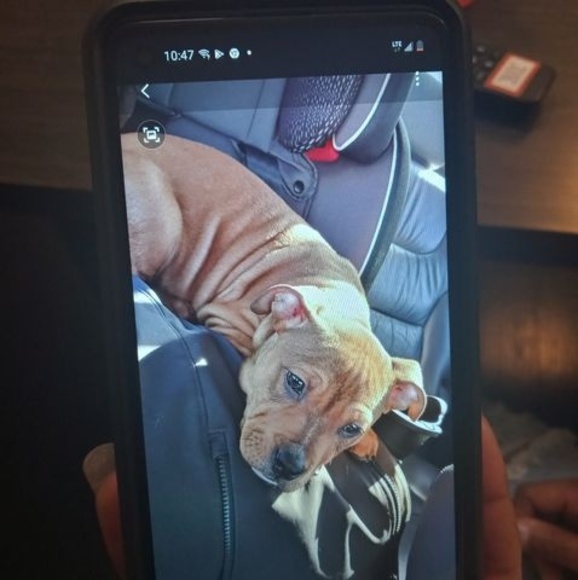 Meet your Posher, Jared - Picture 1 of 1